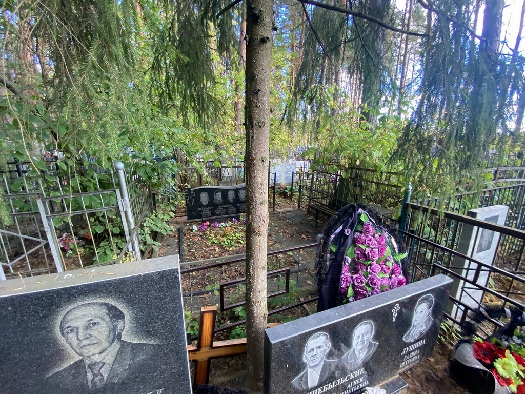Андрющенко Лидия Ефимовна