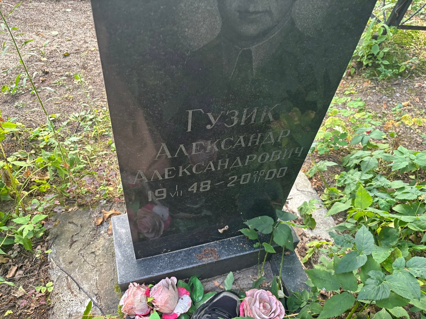 Гузик