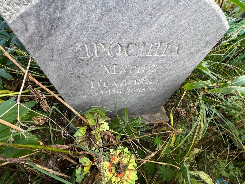 Дросина