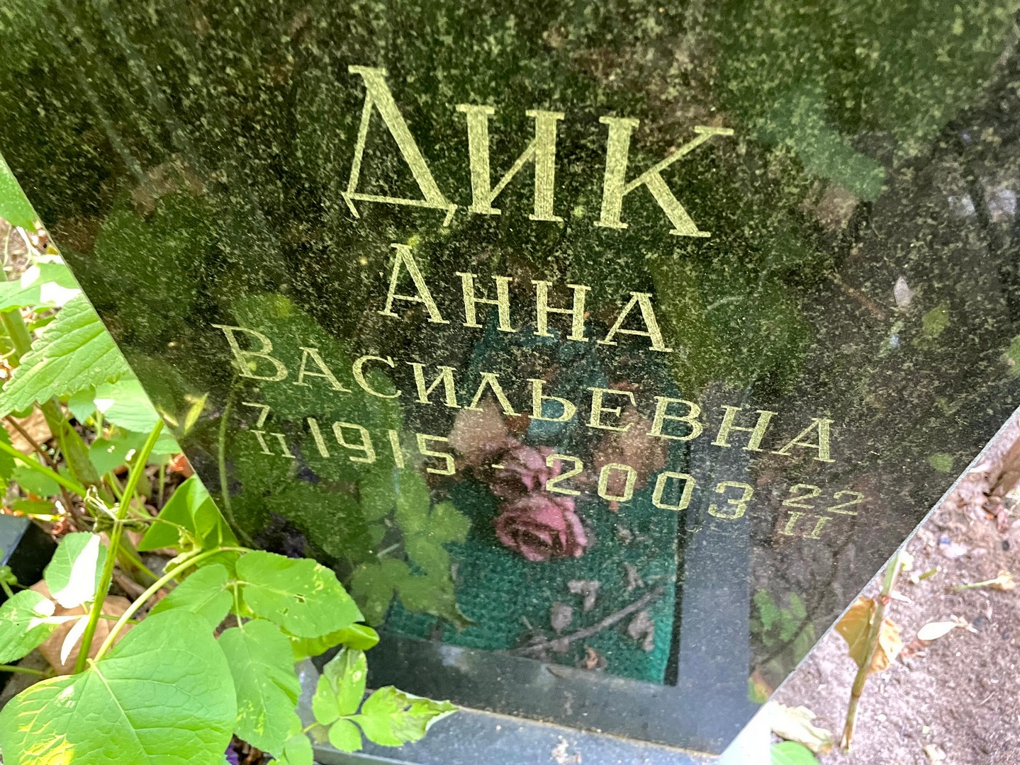 Дик