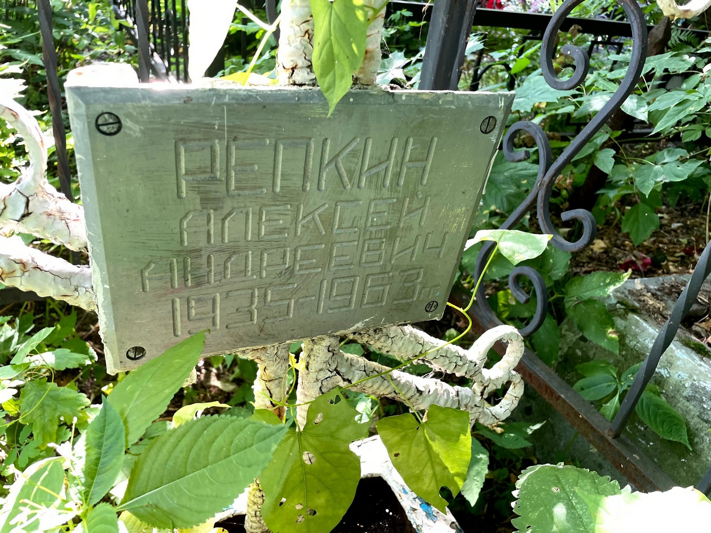 Репкин