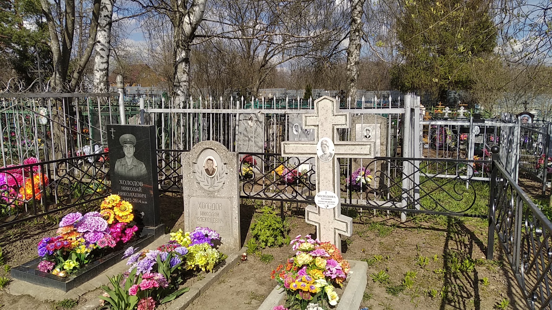 Холодов Николай Николаевич