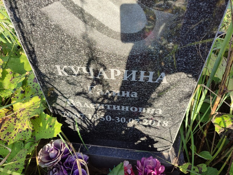 Кучарина