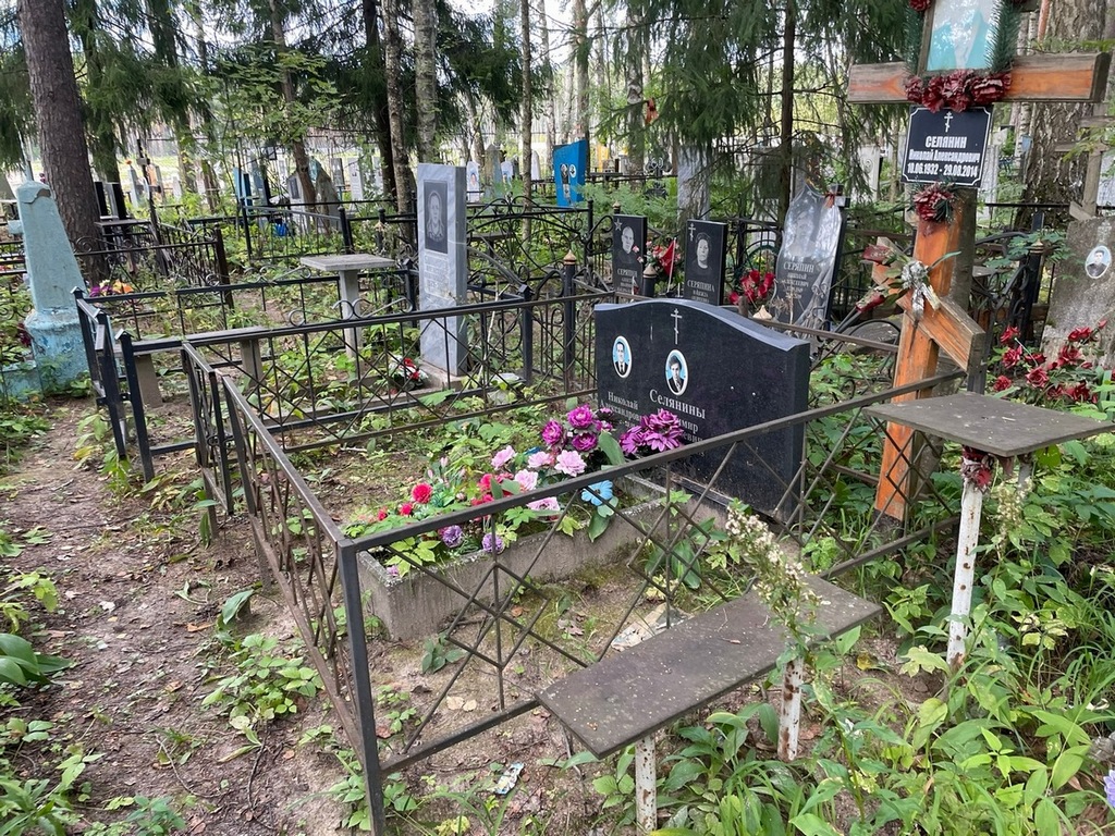 Селянин Николай Александрович
