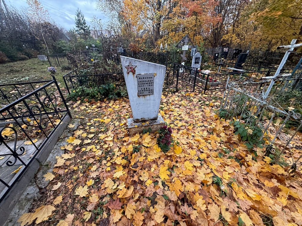 Мамаев Александр Васильевич