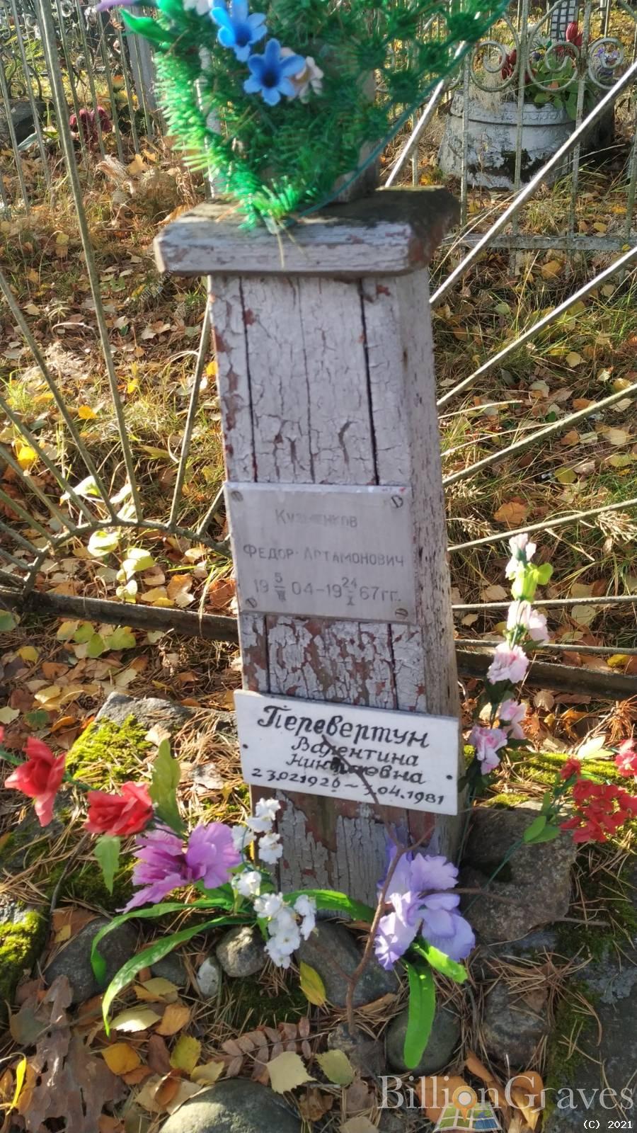 Перевертун Валентина Николаевна