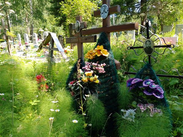 Компанцев Владимир Васильевич