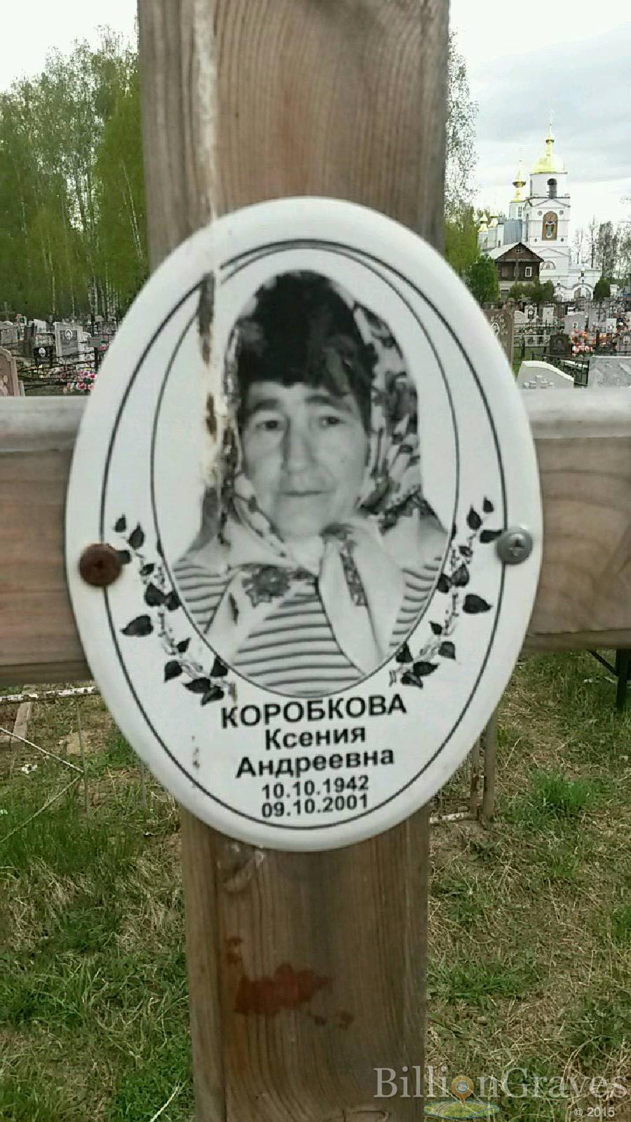 коробкова ксения андреевна