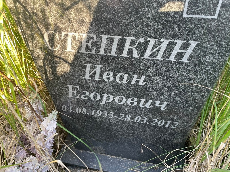 Степкин