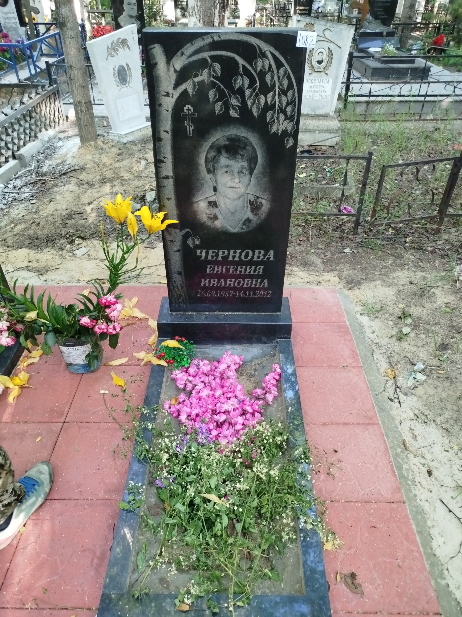 Чернова Евгения Ивановна