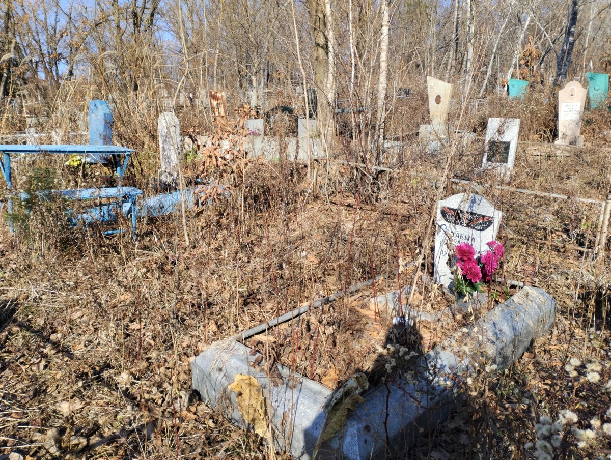 Заёма Полина Гавриловна