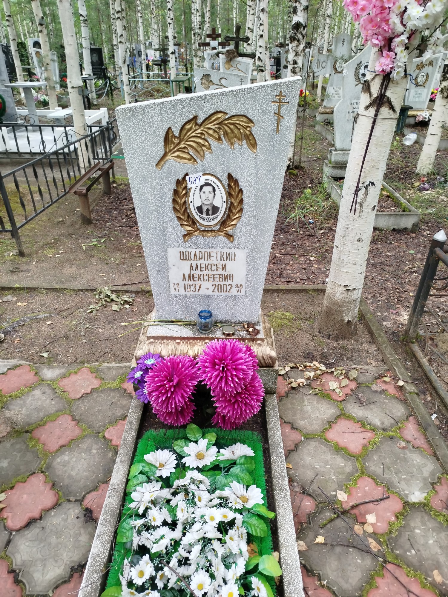 Шкарпеткин Алексей Алексеевич