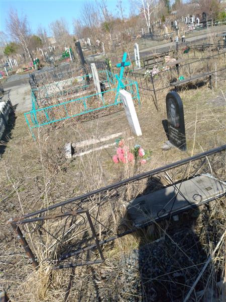 Дворядкин Александр Михайлович