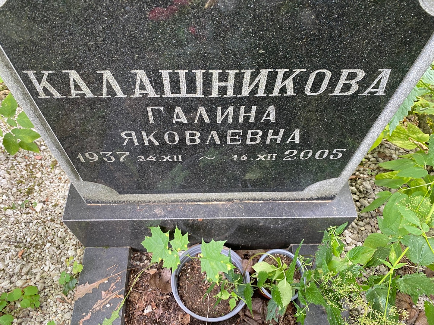 Калашникова
