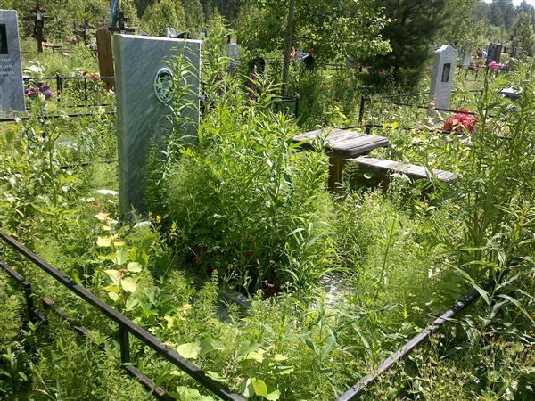 Андронова Марфа Егоровна
