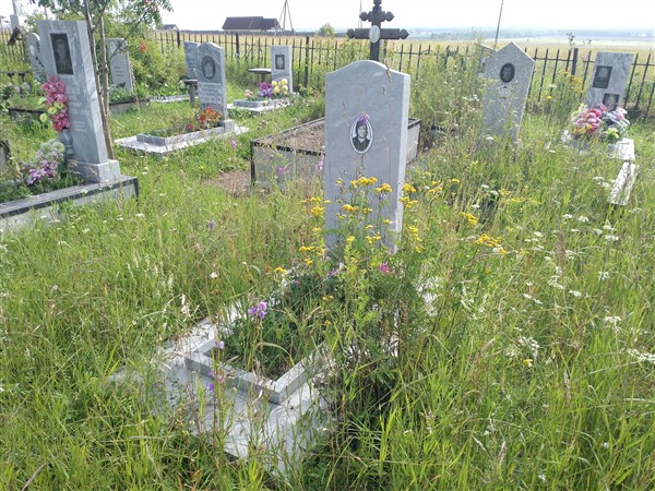 Ушенин Александр Викторович