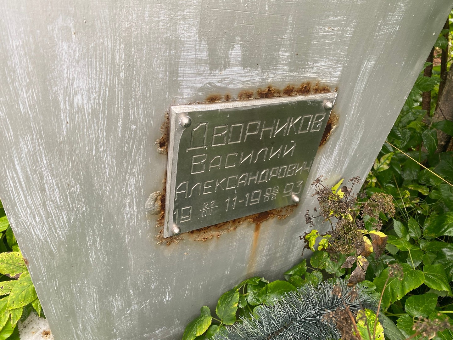 Дворников