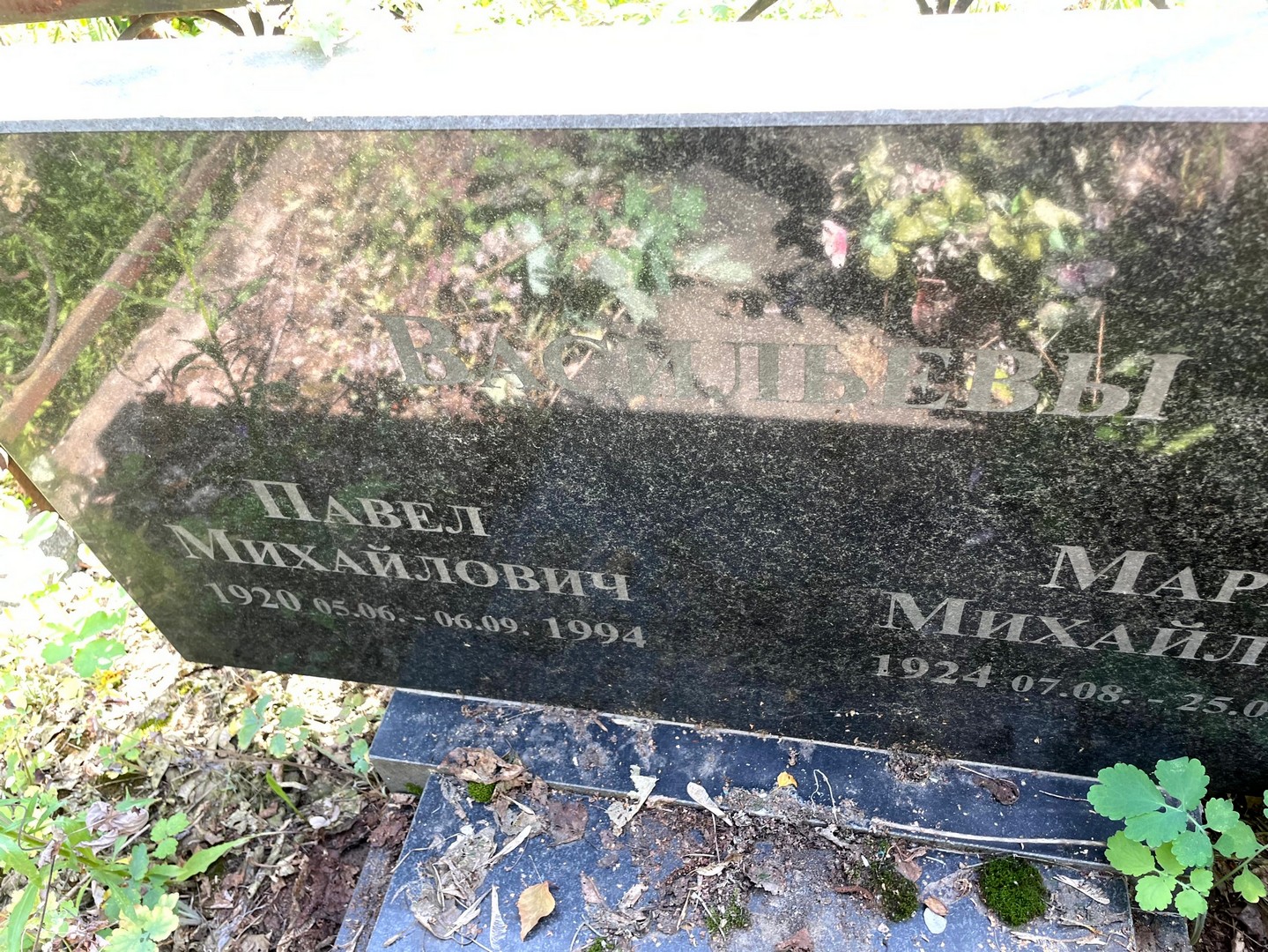 Васильев