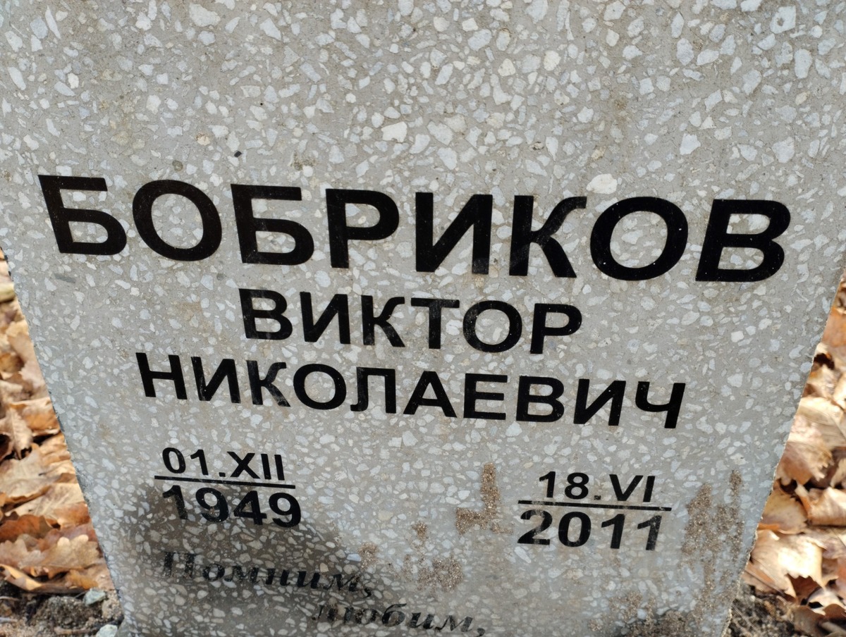 Бобриков Виктор Николаевич