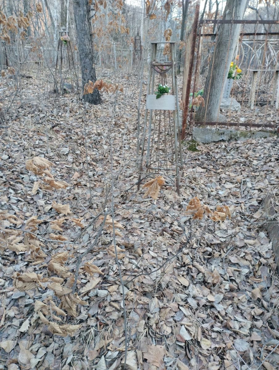 Курлова Лидия Ивановна