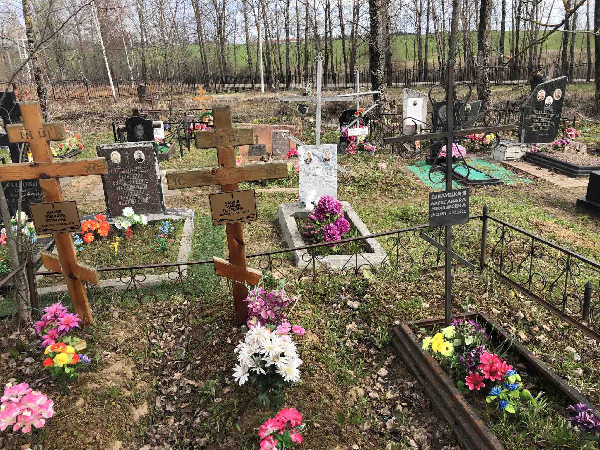 Синдицкая Александра Михайловна