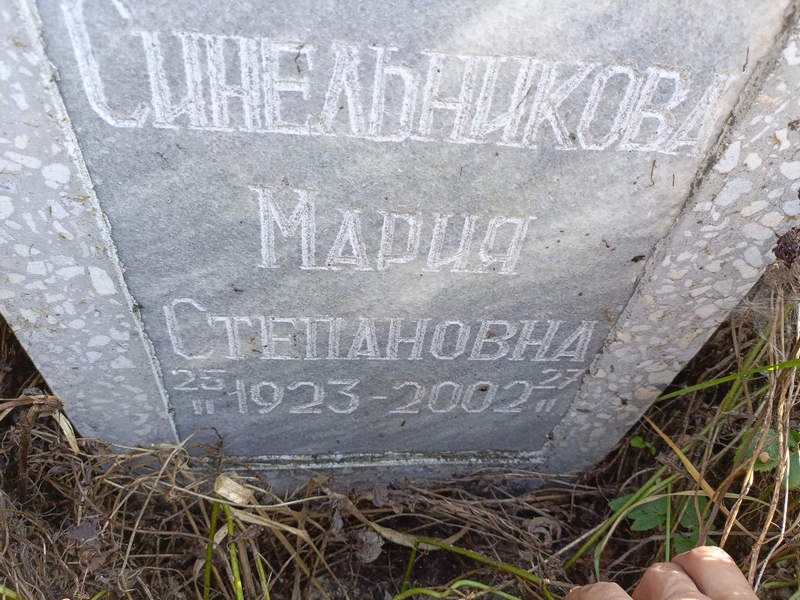 Синельникова