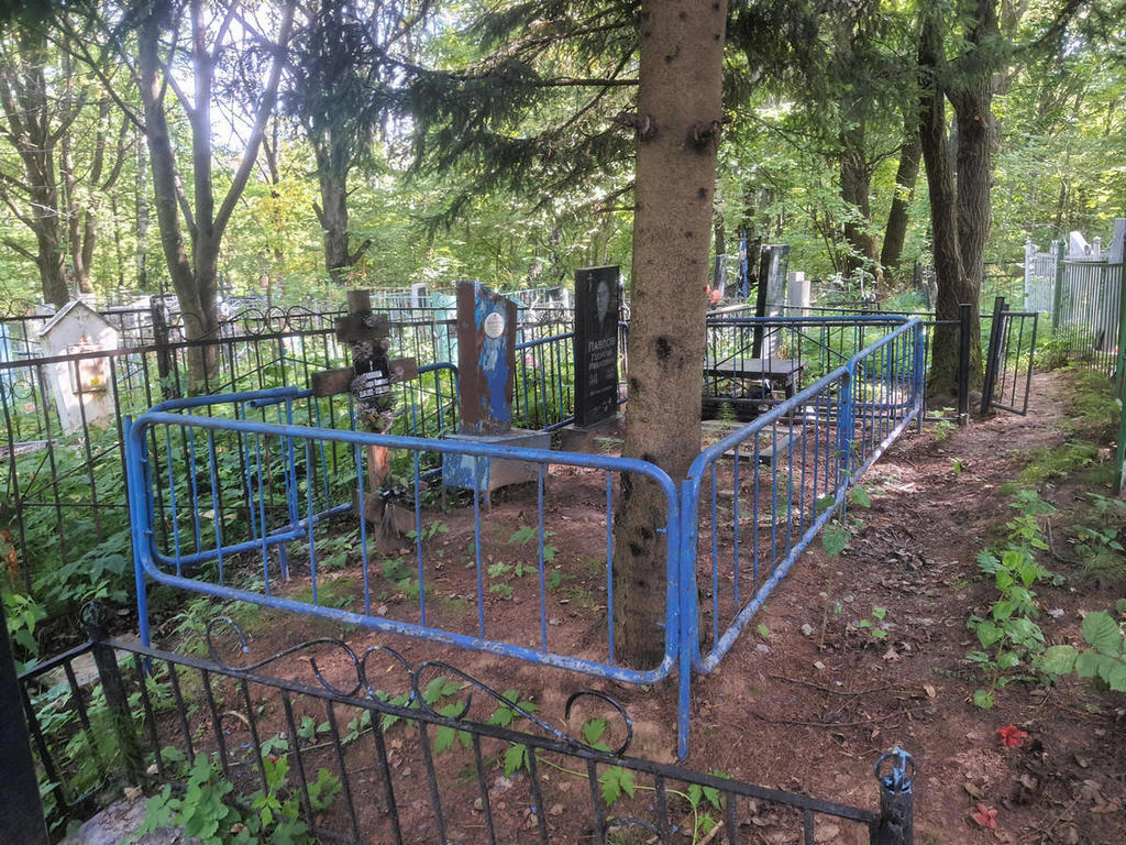 Павлов Константин Георгиевич