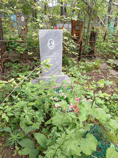 Шалайко Владимир Андреевич