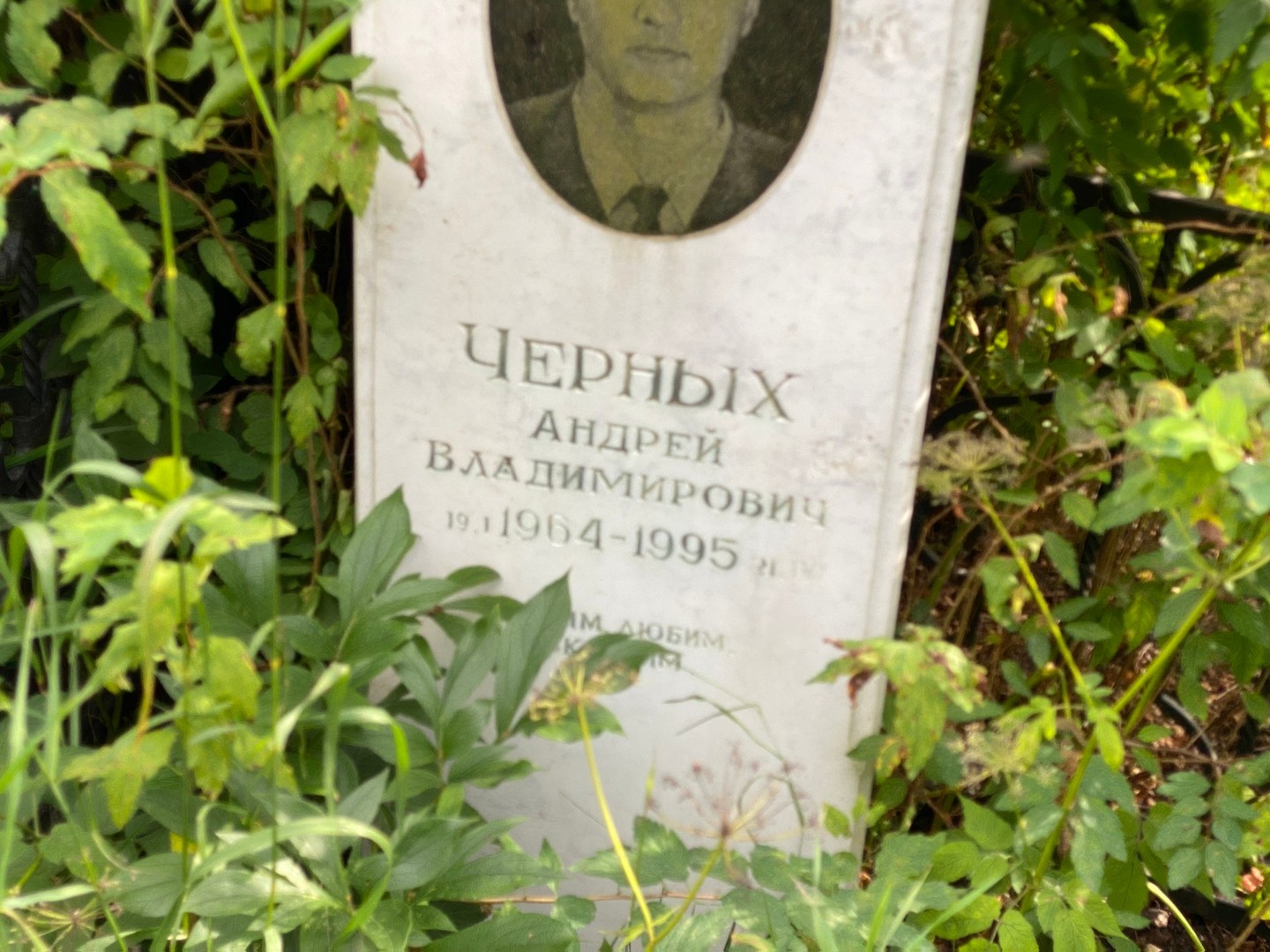 Черных