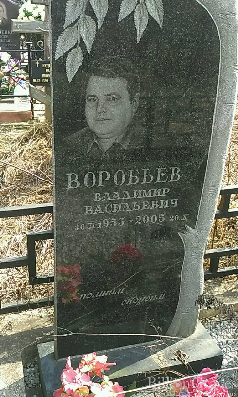 Воробьев Владимир Васильевич