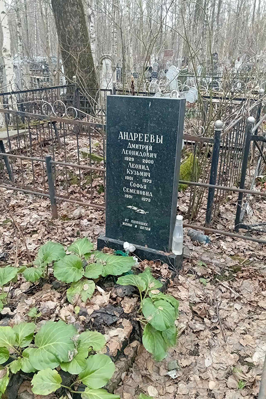 Андреев Дмитрий Леонидович