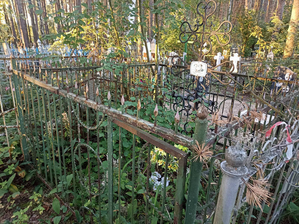 Комкова Эмилия Викторовна