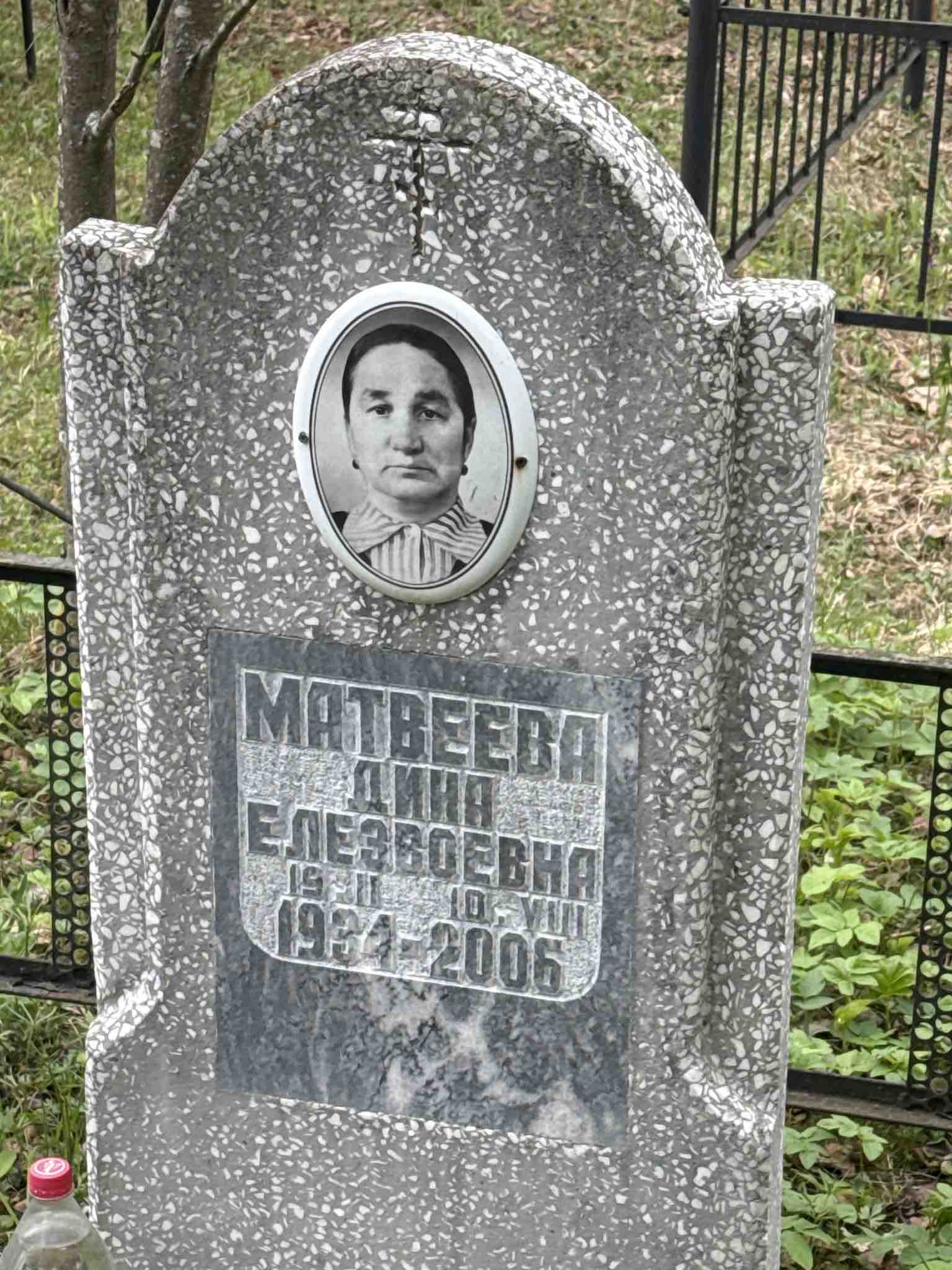 Матвеева Дина Елезвоевна
