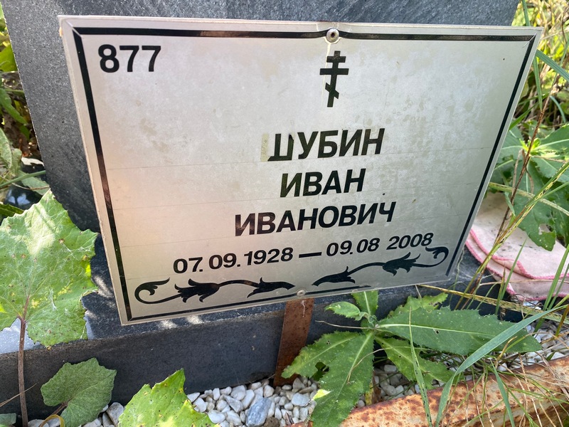 Шубин