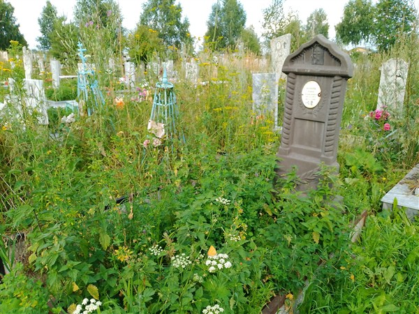 Кочнев Павел Алексеевич