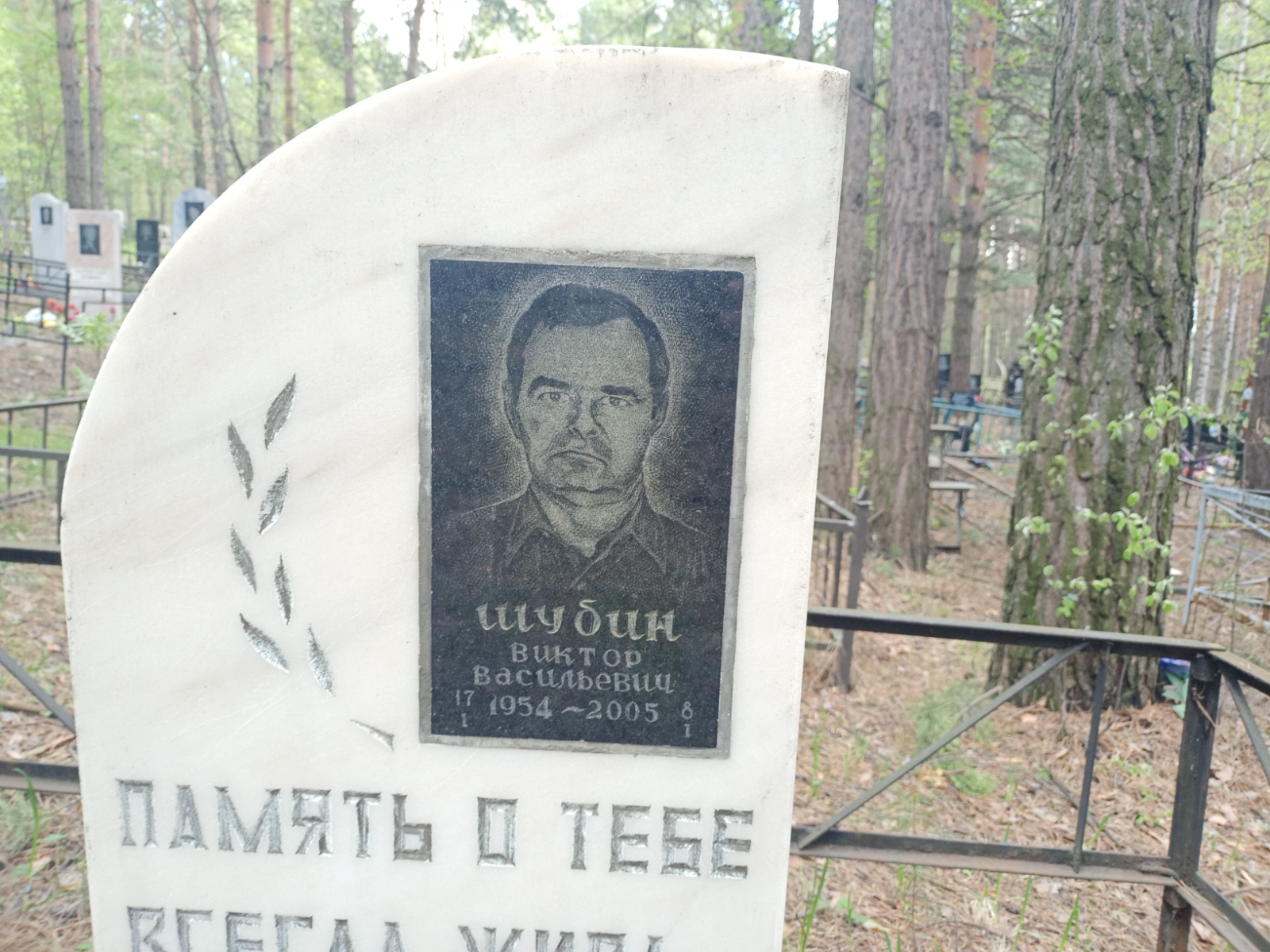 Шубин Виктор Васильевич