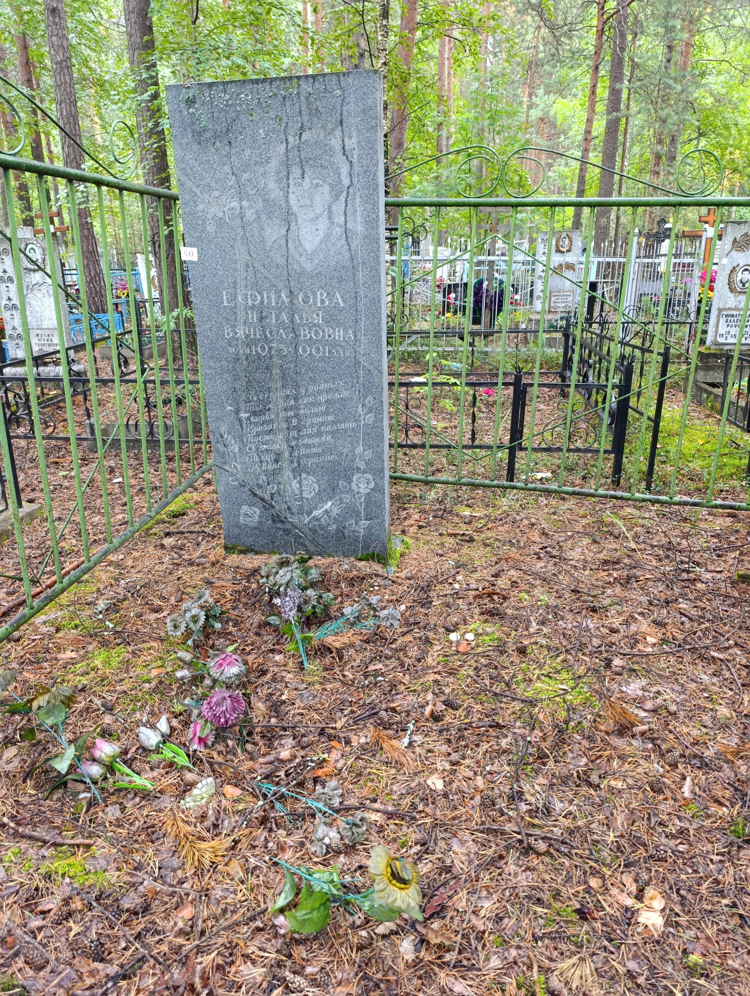Ефимова Наталья Вячеславовна