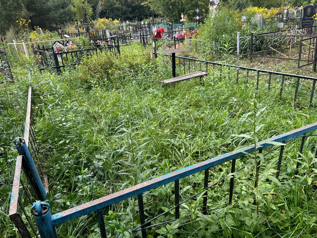 Королева Анна Васильевна