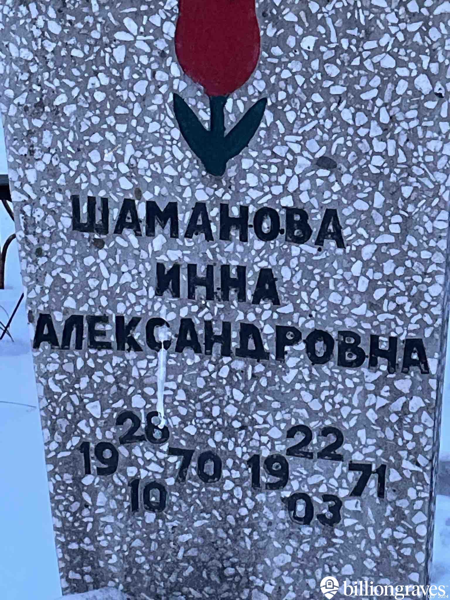 Шаманова Инна Александровна