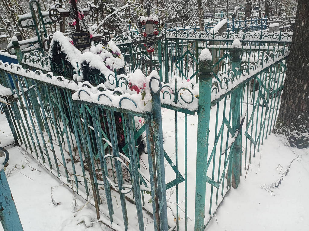 Привалова Елизавета Иосифовна