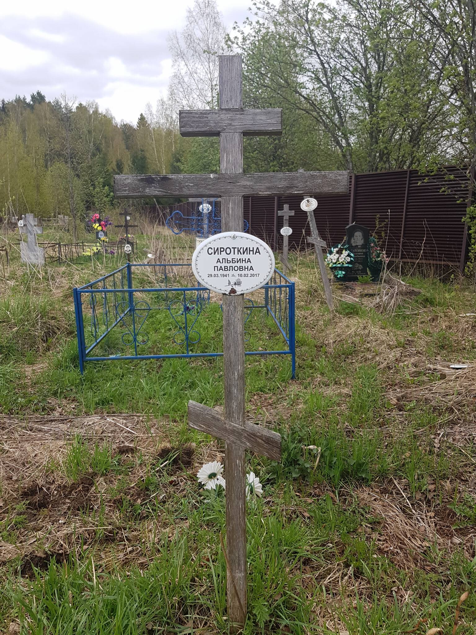 Сироткина Альбина Павловна