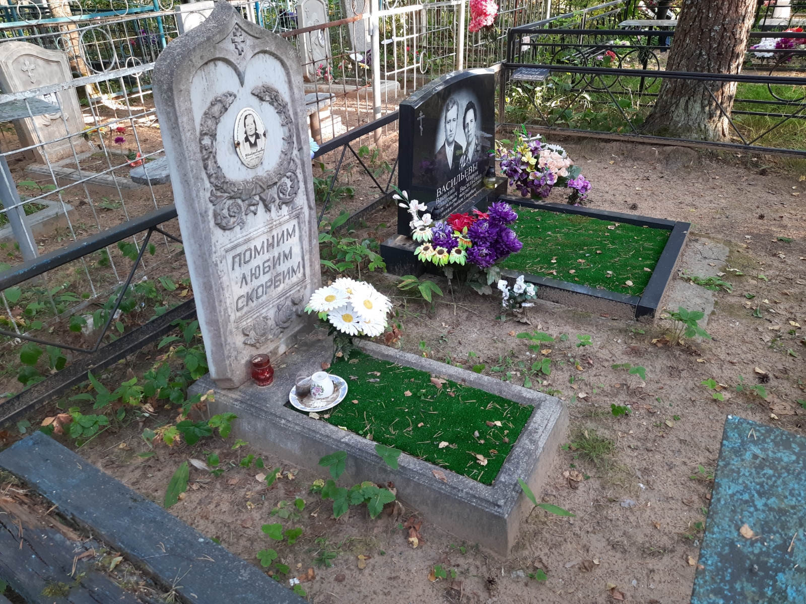 Шадровцева Наталья Степановна