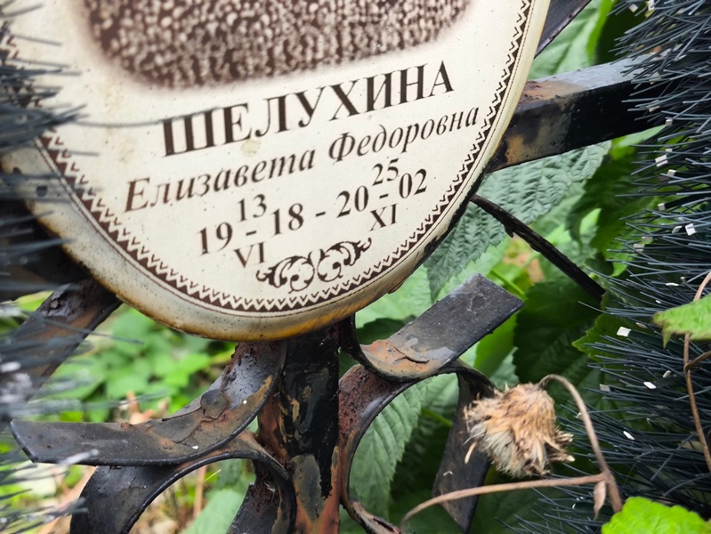Шелухина