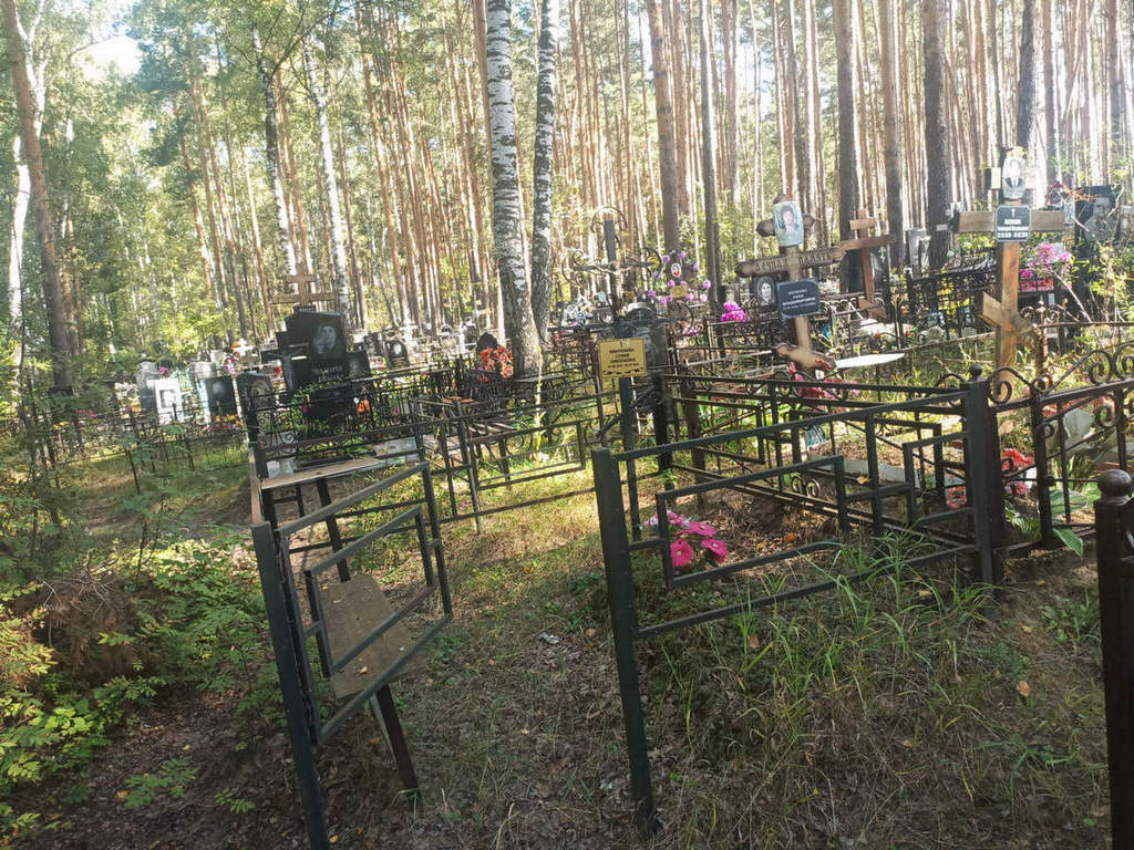 Микрюкова София Николаевна