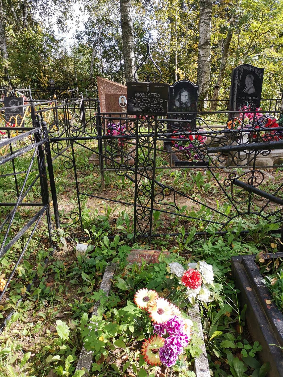Яковлева Александра Николаевна