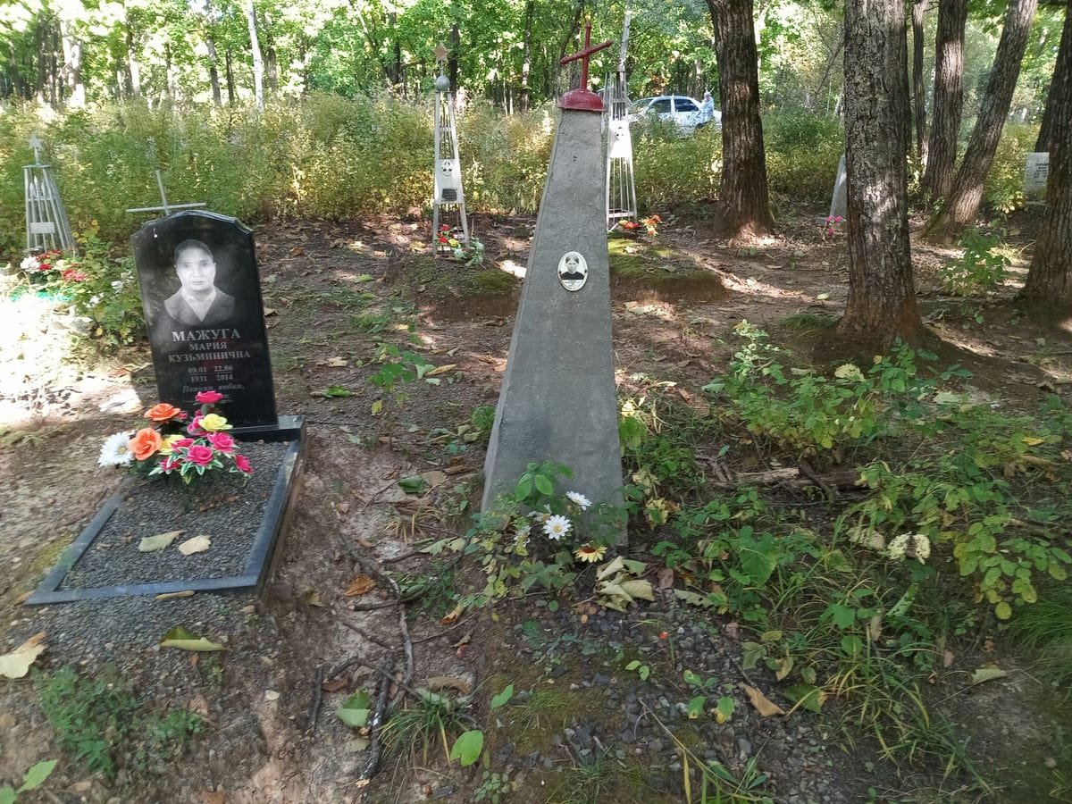 Гиневская Ульяна Николаевна