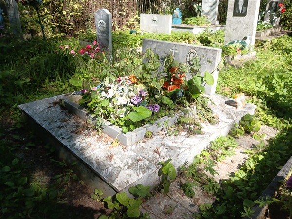 Середкина Александра Николаевна