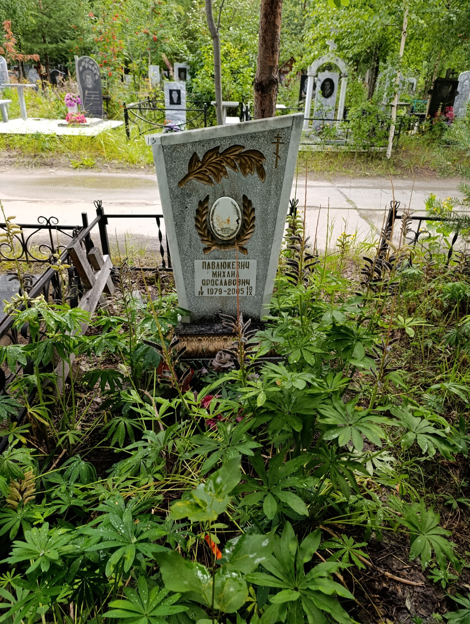 Павлюкевич Михаил Ярославович