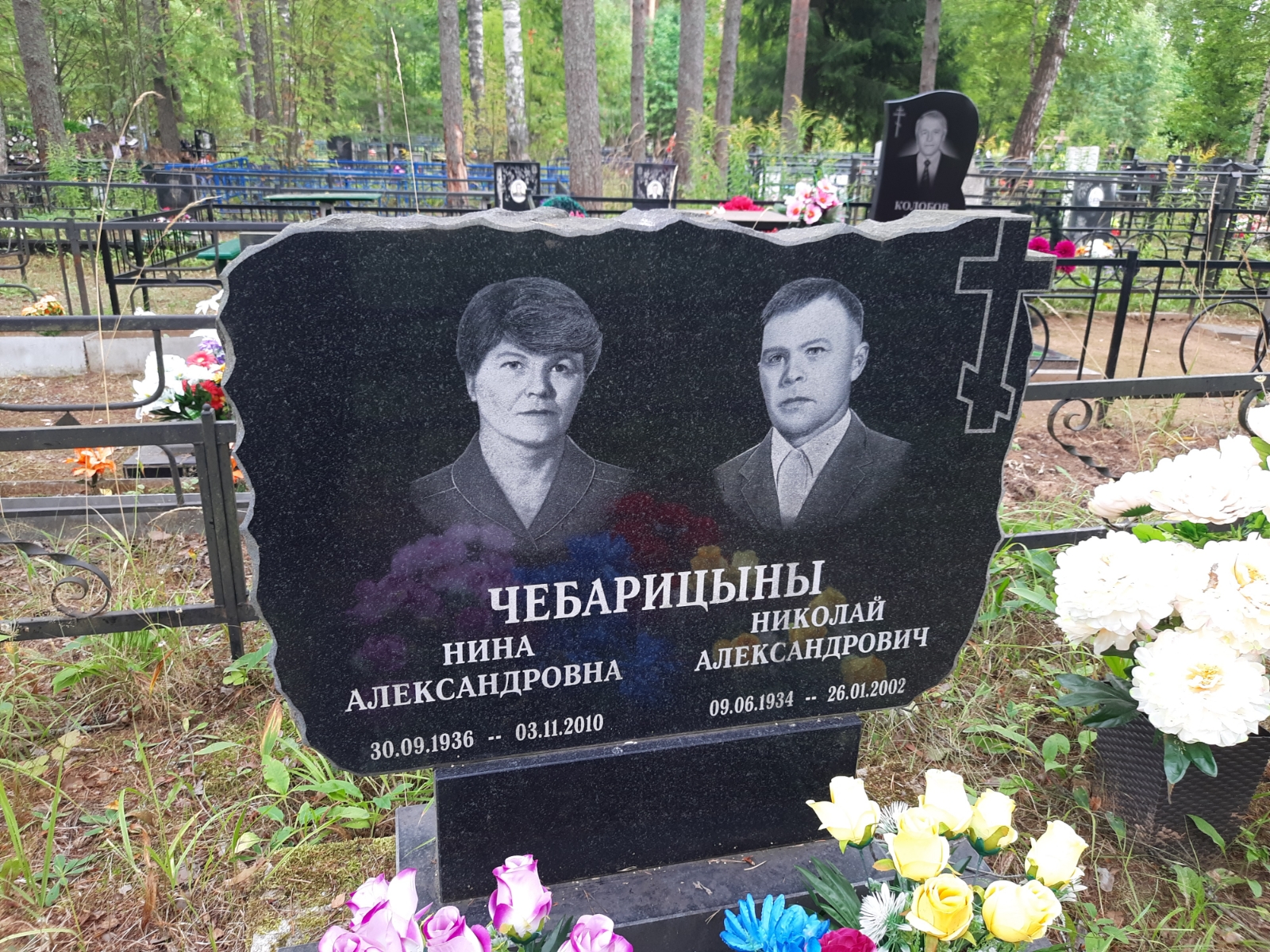Чебарицына Нина Александровна