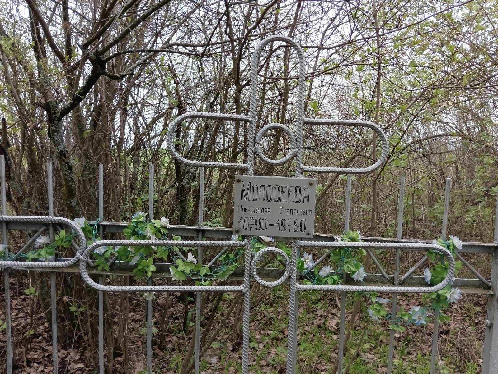 Молосеева Александра Степановна